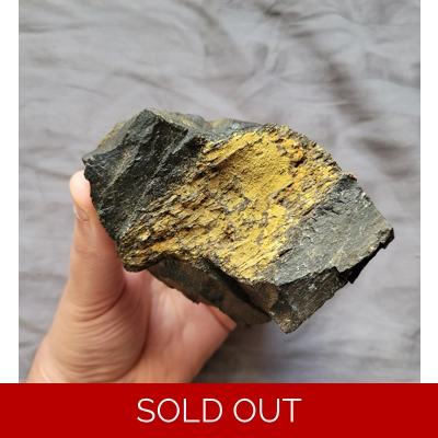 Rare Large Dark Tyrannosaurus Rex T-Rex Dinosaur Leg Bone Chunk Fossil